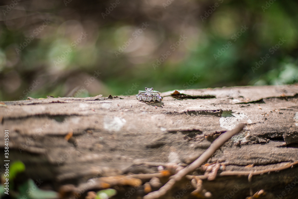 Beautiful shiny diamond wedding rings placed on a log in the forest, with copy space