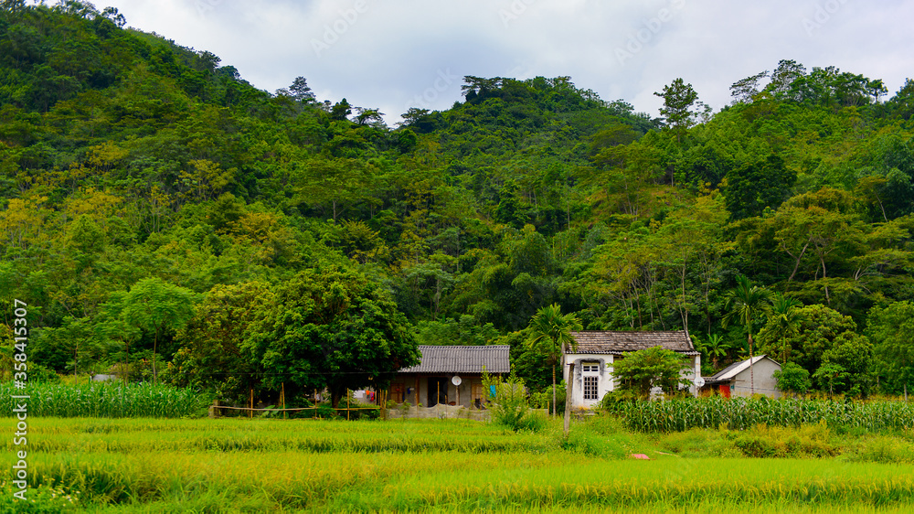 It's Natural landscape of the Northern Vietnam It's Natural landscape of the Northern Vietnam