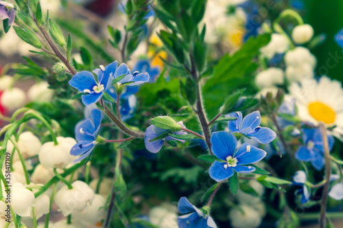 Blurred floral background. wildflowers bouquet, selective focus
