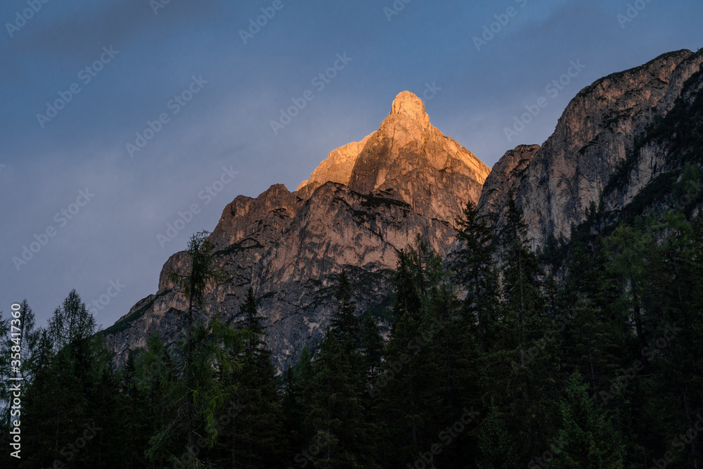 Dolomites Alps. Italy. Intensive sunrise illuminates the top of the mountain in golden yellow color on background of pine forest & blue cloudy sky in the summer at national park