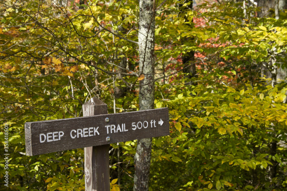 Autumn foliage and Deep Creek Trail marker, Great Smoky Mountains National Park, North Carolina