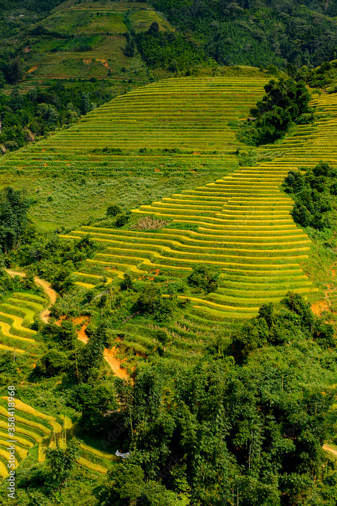 It's Nature landscape and rice terrace of Northern Vietnam It's Nature landscape and rice terrace of Northern Vietnam