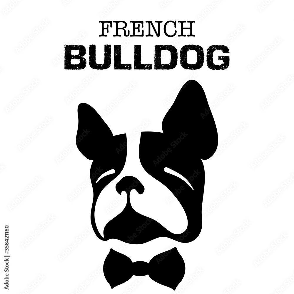 Cute cartoon french bulldog. Hand drawn vector illustration art on blue ...