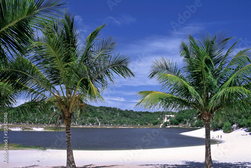 Abaete Lagoon In Salvador City  Bahia  Brazil 