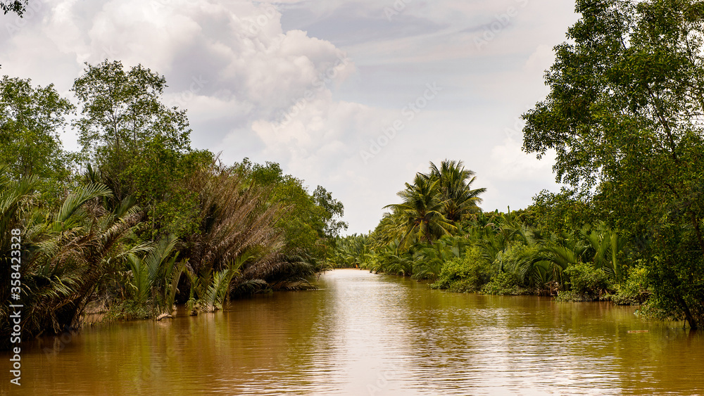 It's Beautiful nature of Mekong Delta in Vietnam