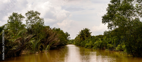 It s Beautiful nature of Mekong Delta in Vietnam