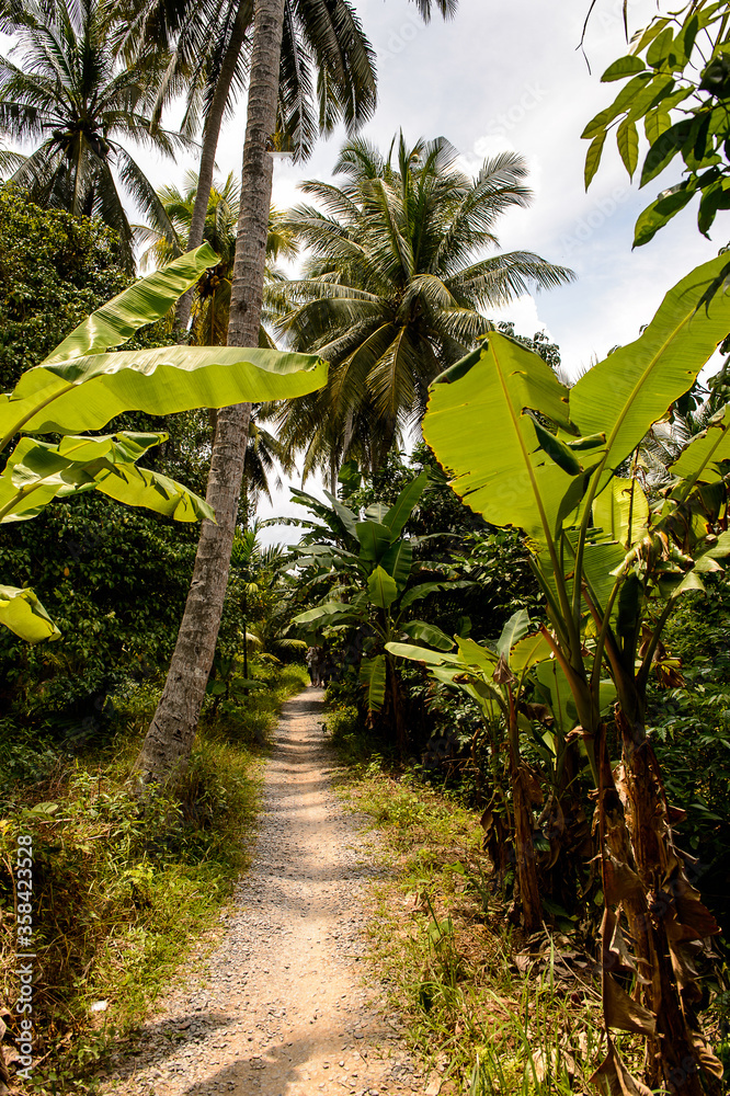It's Beautiful nature of Mekong Delta in Vietnam It's Beautiful nature of Mekong Delta in Vietnam