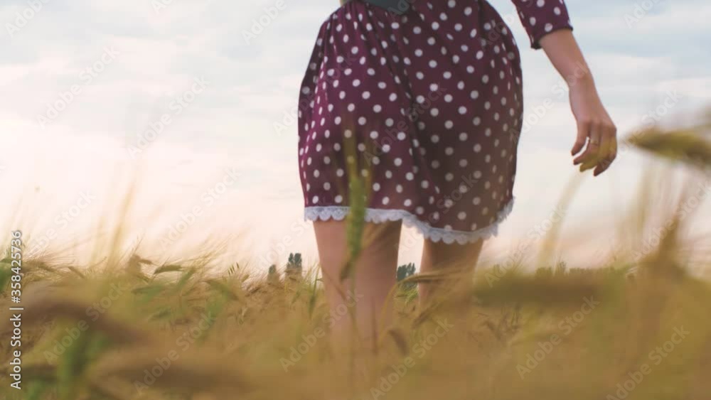 Beautiful young woman walks in a wheat field. Portrait of attractive female on grass at sunset or sunrise. Slow motion Beautiful young woman walks in a wheat field. Portrait of attractive female on grass at sunset or sunrise. Slow motion