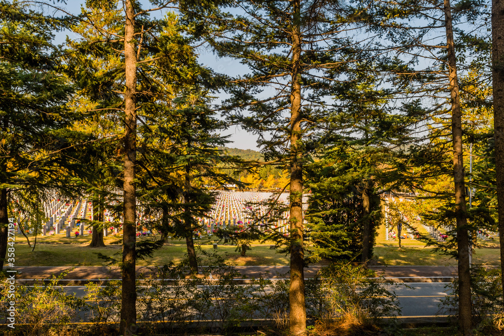 Two lane road through cemetery obscured by treeline with rows of headstones in background under blue sky.