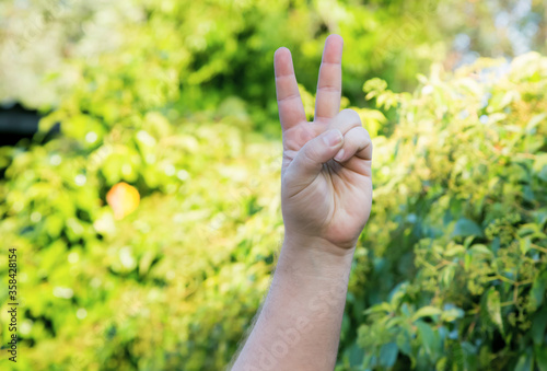 male left handed hand doing victory and peace gesture with nature background © Laura
