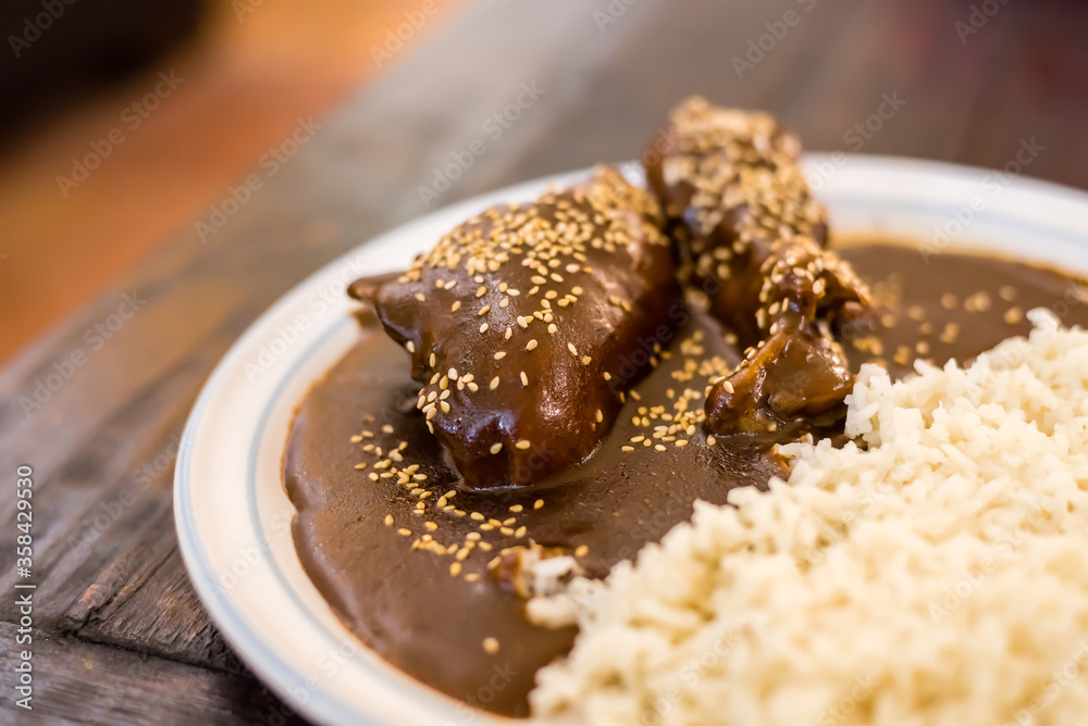Mexican food - Chicken with mole
