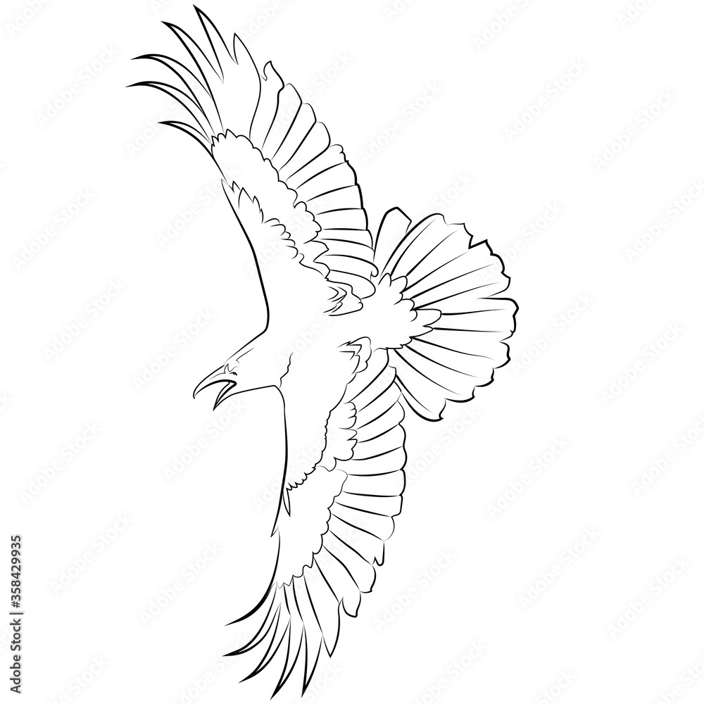Coloring page, coloring book. Black fine art raven bird. Hand drawn