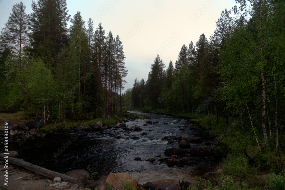 Russia, Karelia. Forest river stream in white nights Russia, Karelia. Forest river stream in white nights