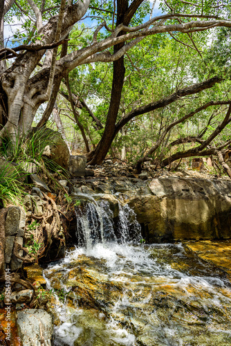 Fototapeta Naklejka Na Ścianę i Meble -  Small fresh water waterfall in Kroombit Tops National Park, Queensland