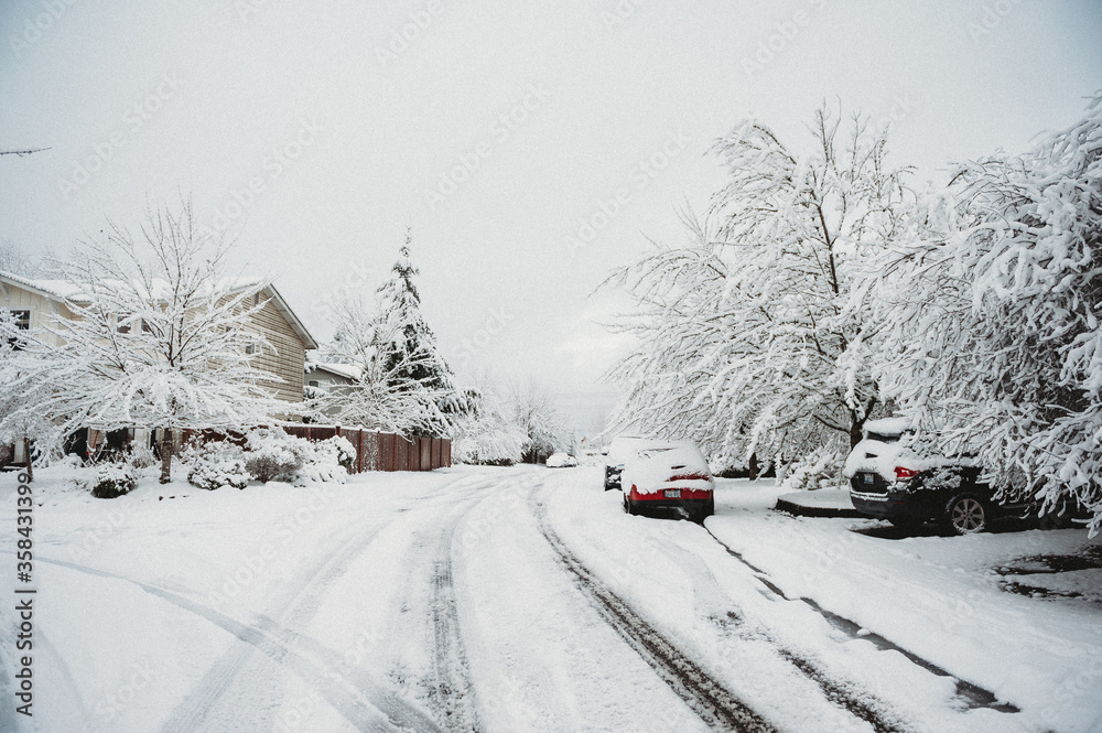 Snow day in WA, USA (February, 2020) Snow day in WA, USA (February, 2020)