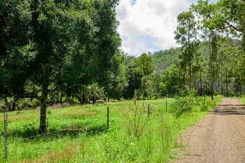 grazing paddock next to a gravel road   in Kroombit Tops National Park  Queensland