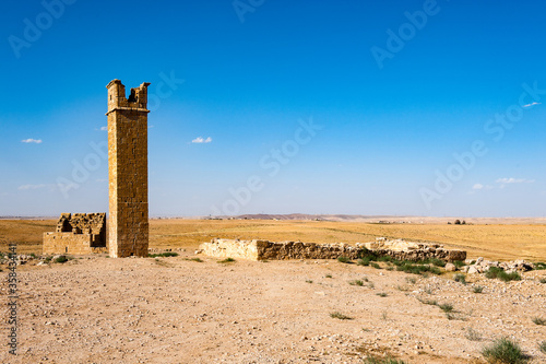 It's Pillar of Hermits, Jordan © Anton Ivanov Photo
