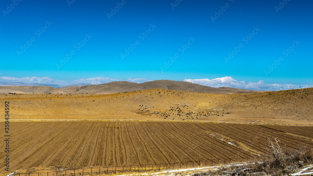 It's Desert near the ancient Persian city of Pasargad, Iran. UNESCO World Heritage It's Desert near the ancient Persian city of Pasargad, Iran. UNESCO World Heritage