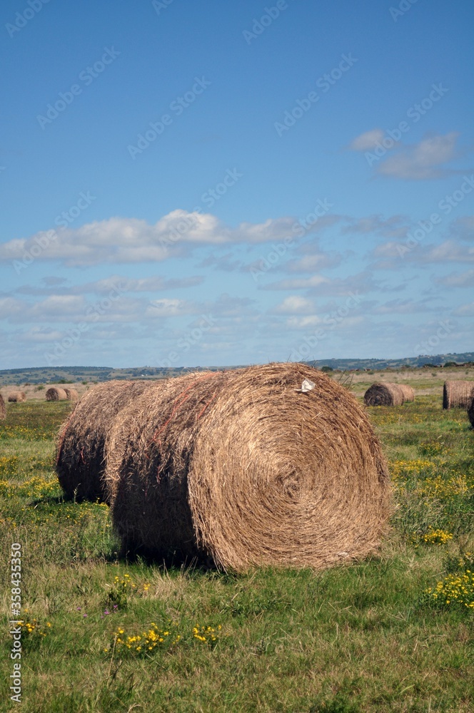 haystack and scenic views of nature. haystack and scenic views of nature.