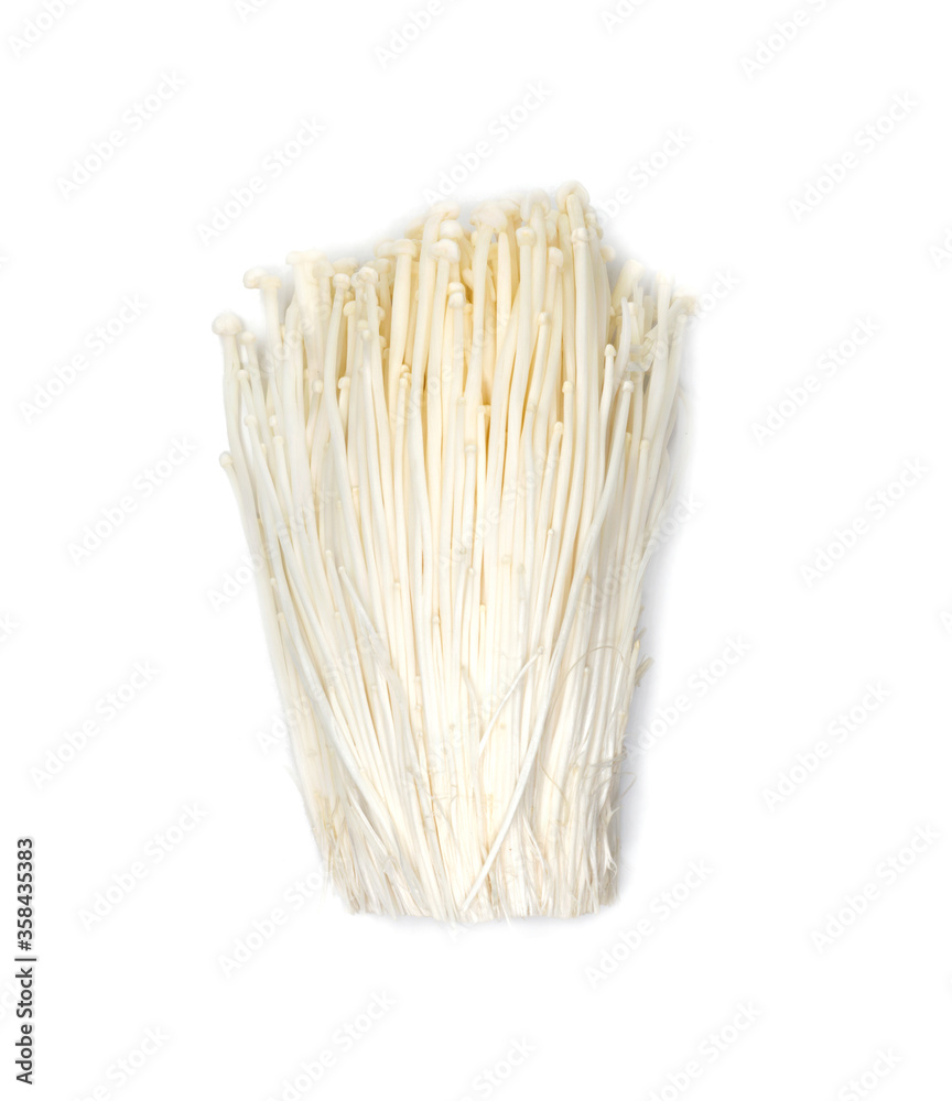 Golden needle mushroom isolated in white backgroundund