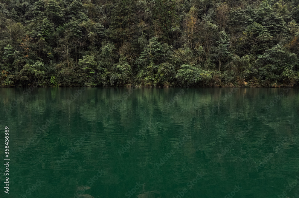 reflections in the water