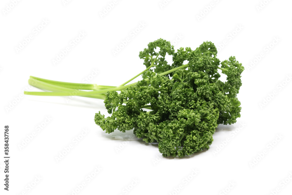 parsley isolated in white background parsley isolated in white background