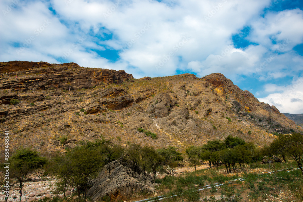 It's Nature of Socotra Island archipelago It's Nature of Socotra Island archipelago