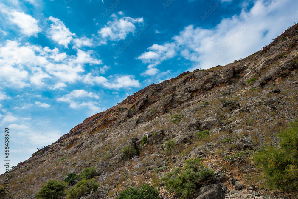 It's Nature of Socotra Island archipelago