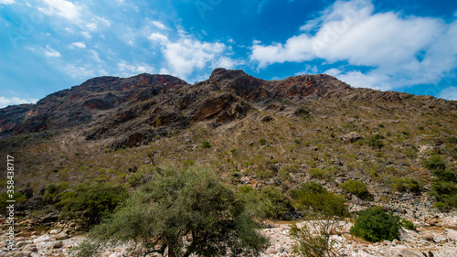 It's Nature of Socotra Island archipelago