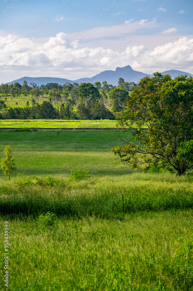 beautiful view of Queensland countryside with vibrant green grass and trees. In Calliope, with Mount Larcom in the background.