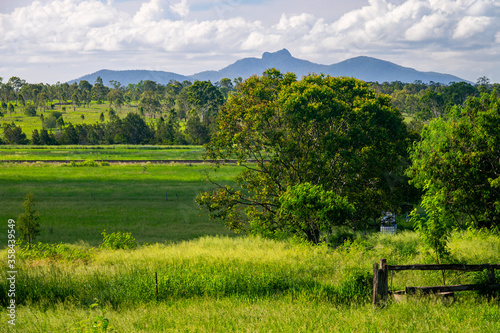 beautiful view of queensland countryside with vibrant green grass and trees. In Calliope  with Mount Larcom in the background.