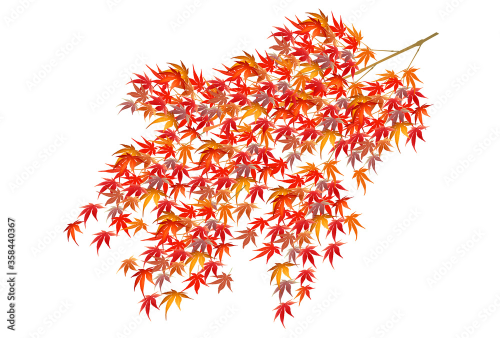 紅葉 もみじ 秋 アイコン 紅葉 もみじ 秋 アイコン