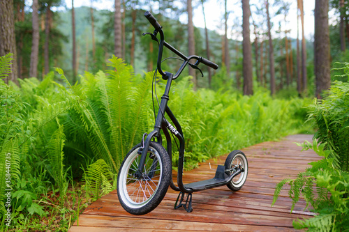 Black scooter in the park photo