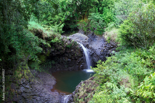 waterfall in the forest