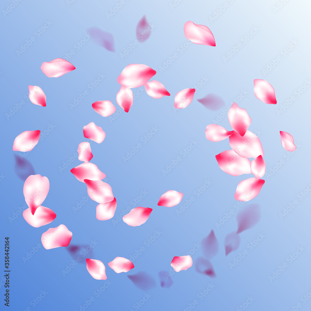 Spring blossom isolated petals flying