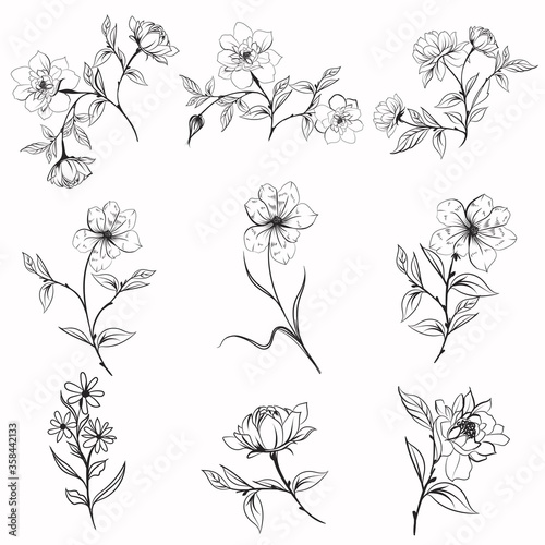 Collection of vector elegant rustic plants for design