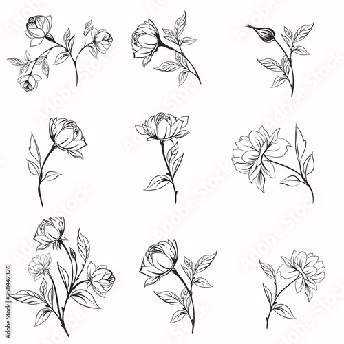 Set of vector elegant line flowers for logotypes designs, weddings, cards and...