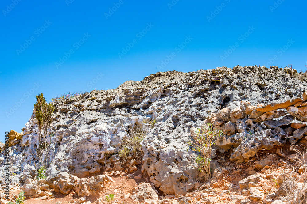 Obraz premium It's Nature of the Socotra Archipelago, Yemen