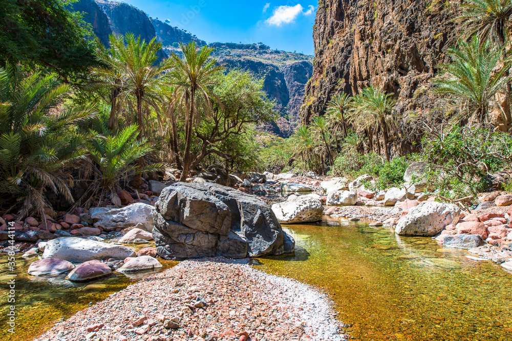 It's Rocks and nature of the Socotra Archipelago, UNESCO World Heritage