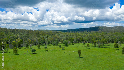 Kroombit Tops National Park summer landscape with vibrant green vegetation, Queensland