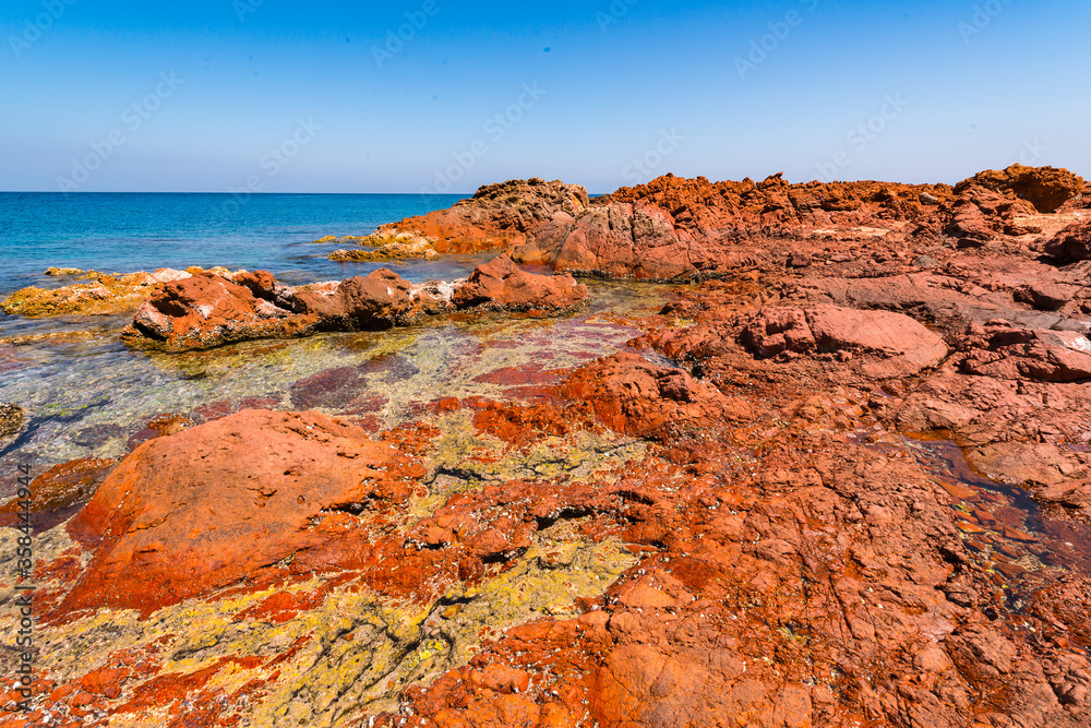 Obraz premium It's Socotra Island, Yemen. UNESCO World Heritage