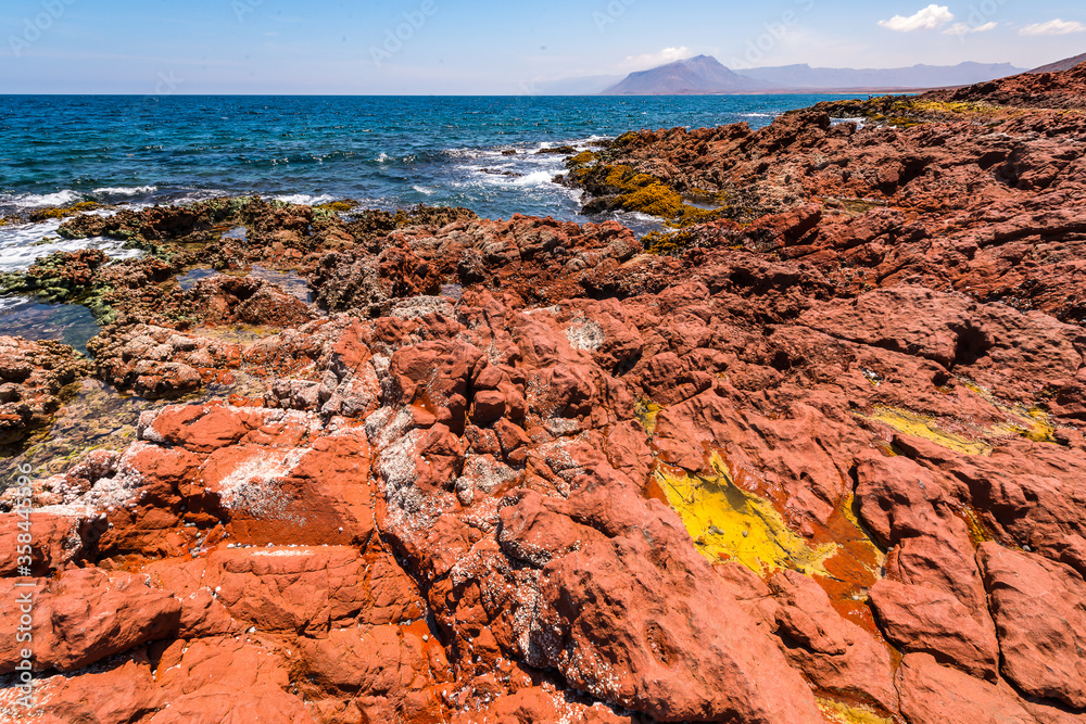 It's Nature of the Socotra Island, Yemen. UNESCO World Heritage