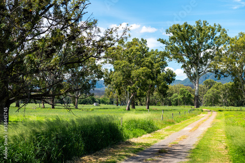 Farm access track with fences and lush summer green vegetation  Queensland