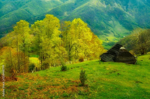 spring landscape in the mountains