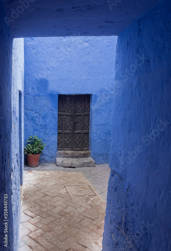 Vertical shot with ancient black door with flower pot and beautiful blue wall © Samponi