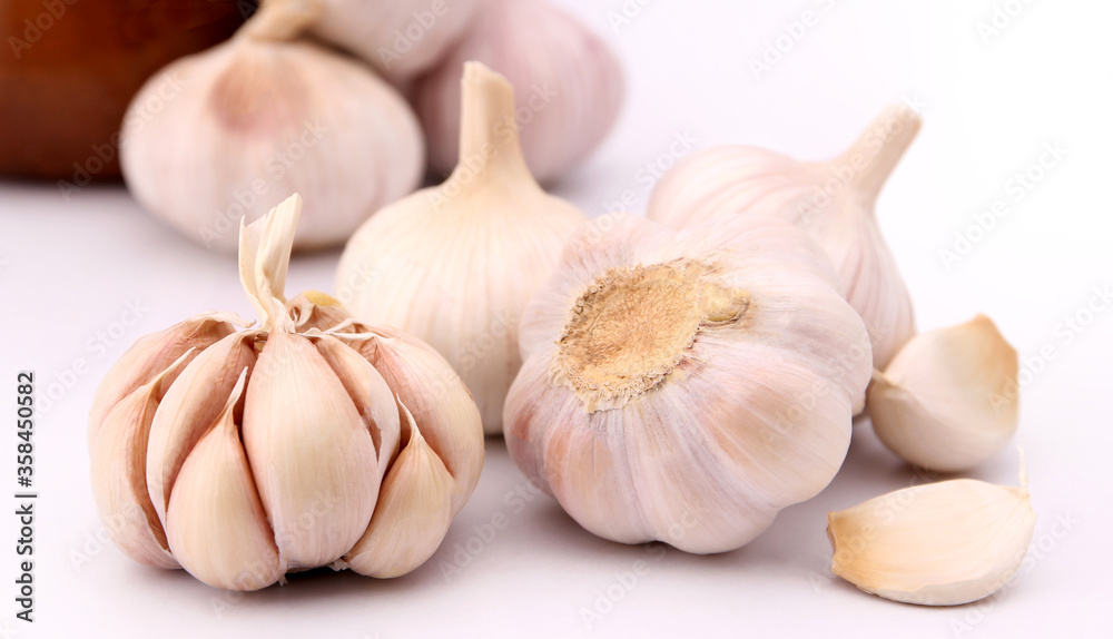Garlic isolated on white background in studio.