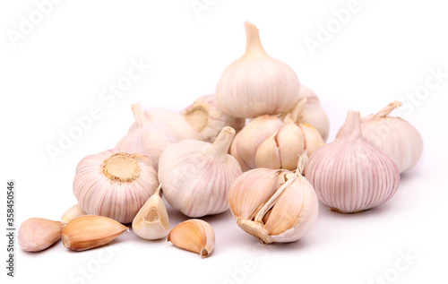 Garlic isolated on white background in studio.