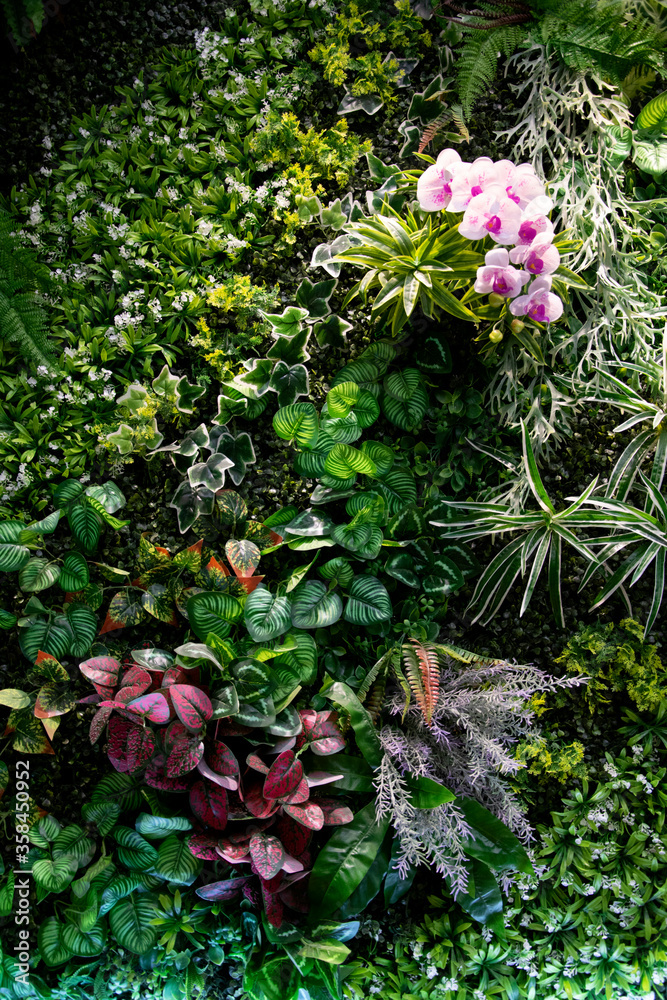 Green plants decorate on wood wall Green plants decorate on wood wall