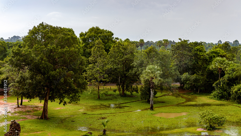 It's Cambodian Jungle near the Pre Rup, a temple at Angkor, Cambodia It's Cambodian Jungle near the Pre Rup, a temple at Angkor, Cambodia