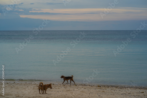  One island in the middle of the sea which is a tourist attraction of Thailand